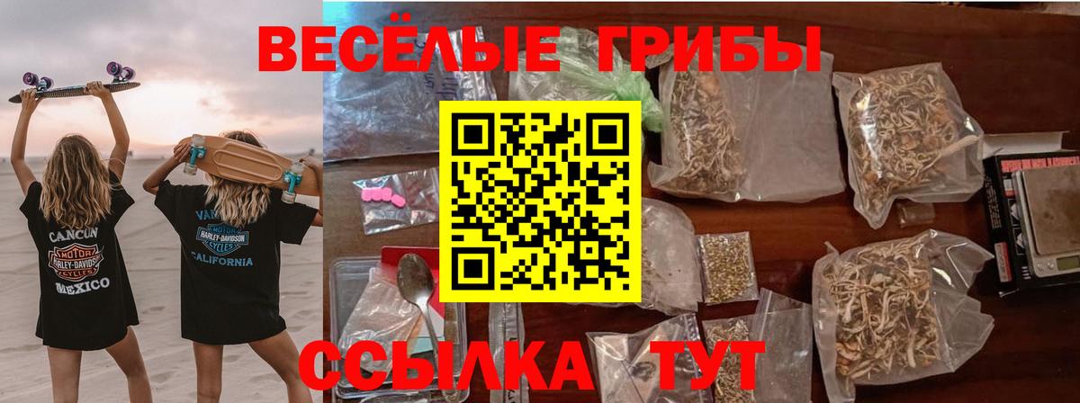 Галлюциногенные грибы ЛСД  Псилоцибиновые грибы мицелий  Новоуральск  Вход с VPN 